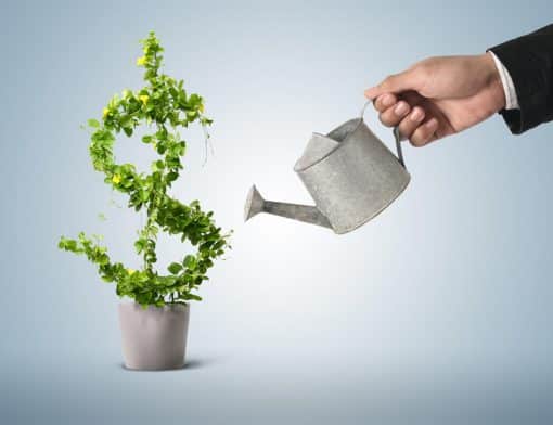 Quais são os carros econômicos?