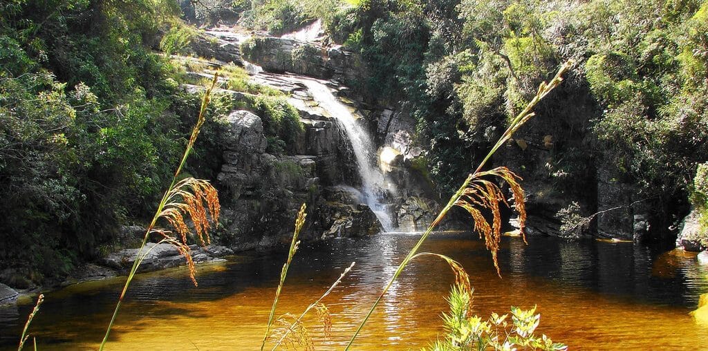 Conheça a cidade de Macacos