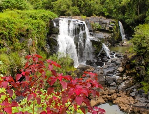Cachoeira Véu da noiva em Poços de Caldas