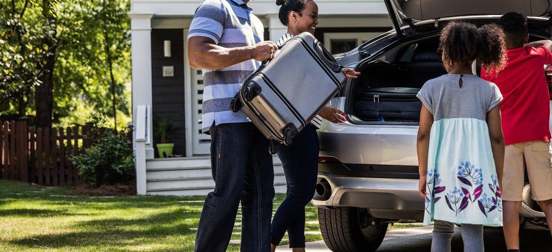 Temos dicas porta malas para você