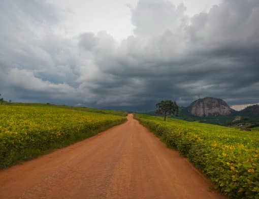 Tudo sobre o Passaporte Estrada Real (Foto: Divulgação)