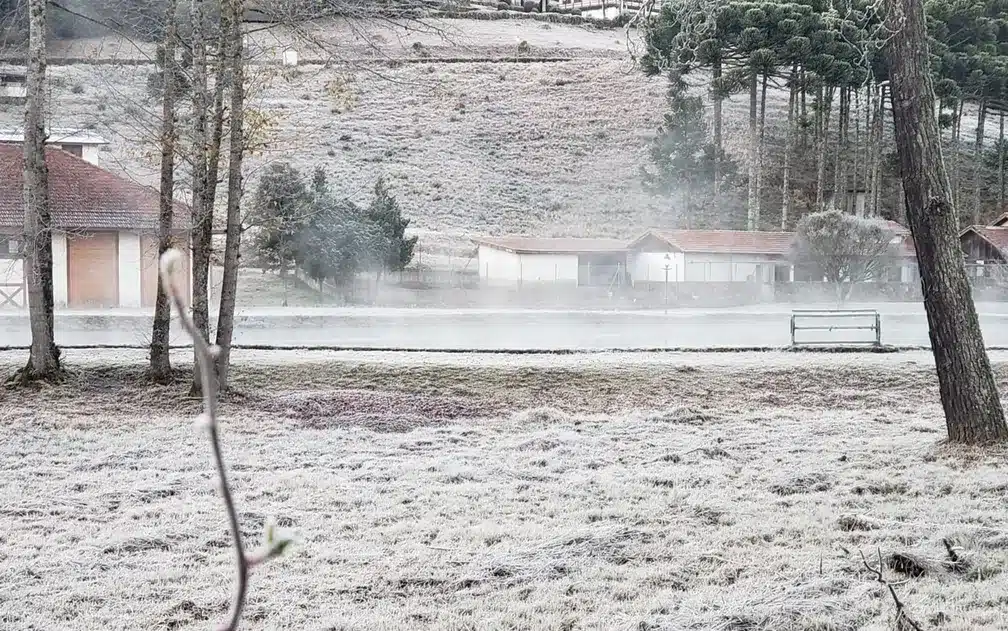Nevou em Monte Verde em 2021! Foto: G1/Nelson Pacheco