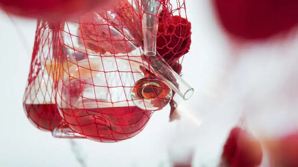 Galeria Tunga é uma atração imperdível para quem visita o Inhotim. Foto: Reprodução/Inhotim