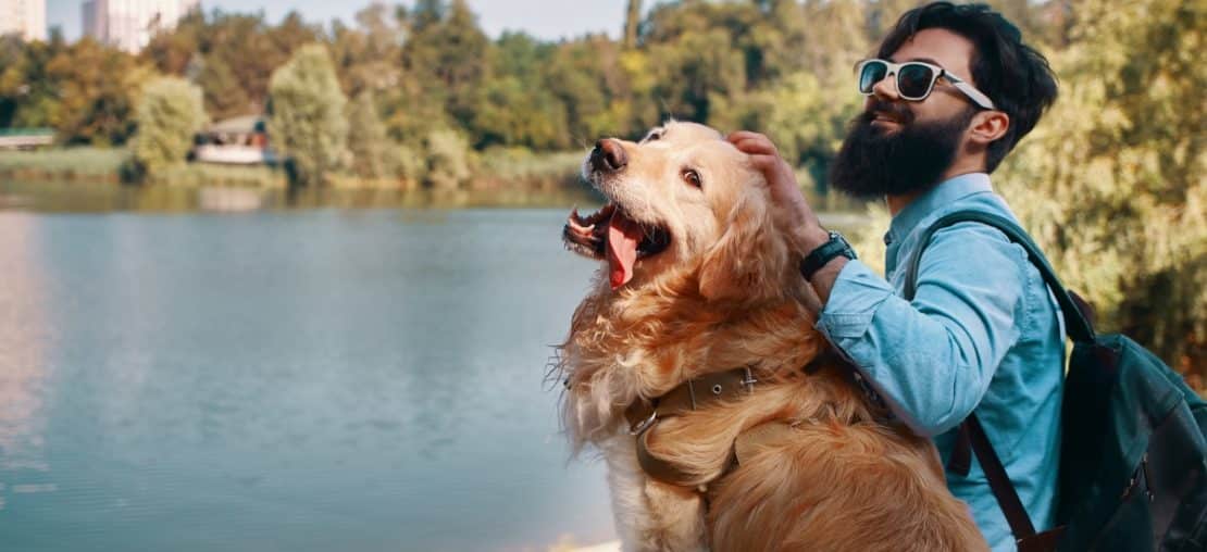 As melhores opções de hotéis pet friendly perto de BH. Foto: Reprodução