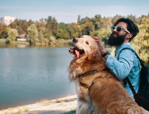 As melhores opções de hotéis pet friendly perto de BH. Foto: Reprodução