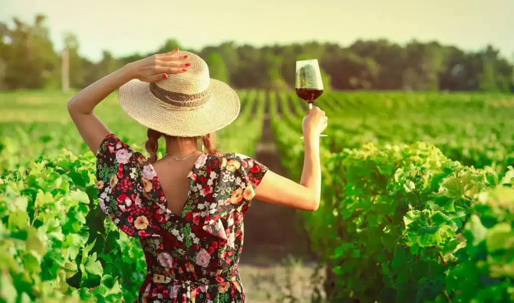 Já planejou sua viagem de degustação de vinhos? Foto: Reprodução